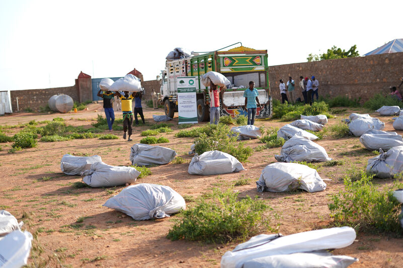 ShelterBox Somalia 11 24 69