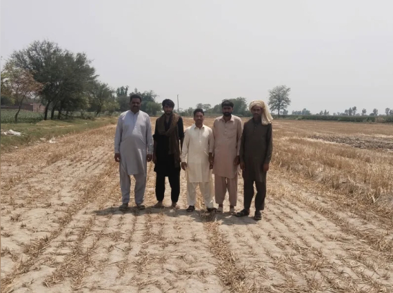 Tarvaiz