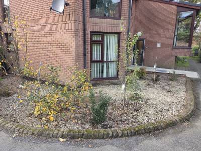 Tidying Up at Lowry Court